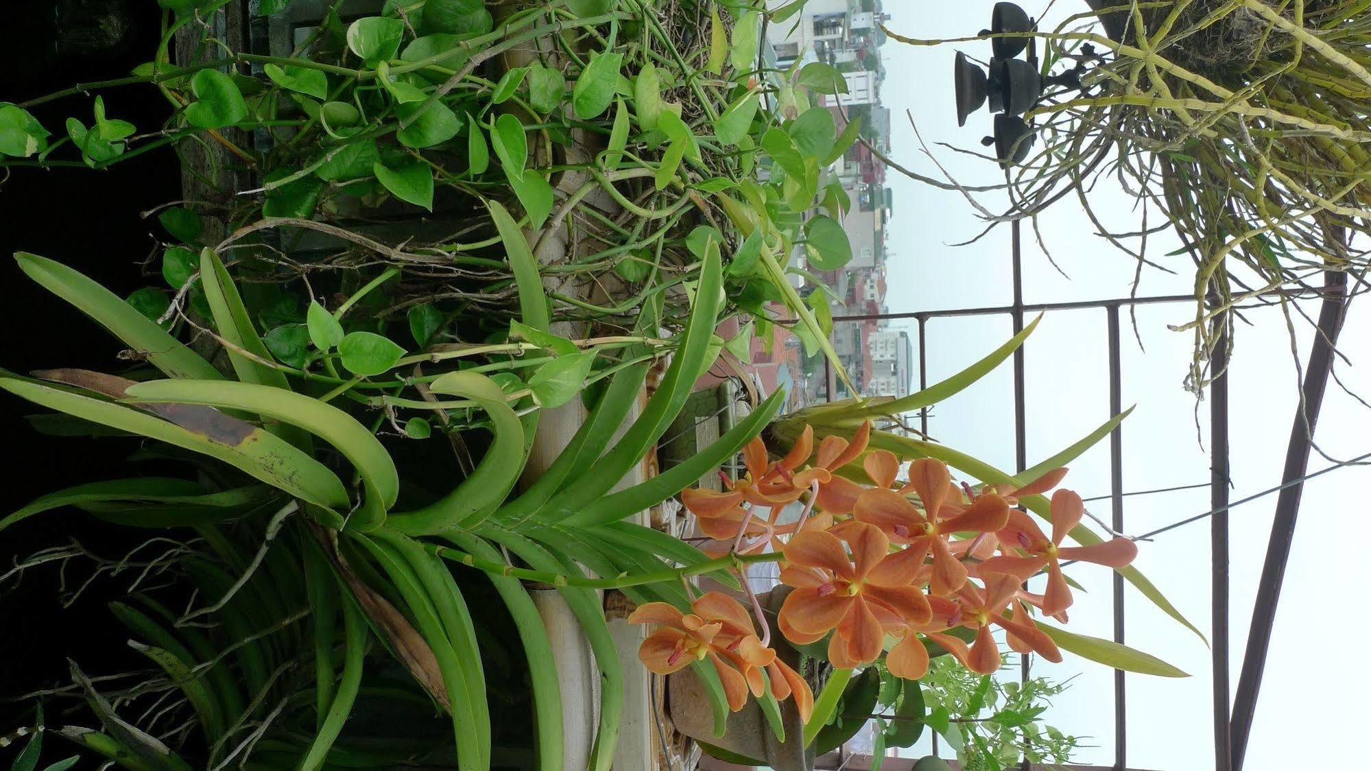 Hotel Garden Queen Hanoi Exterior foto